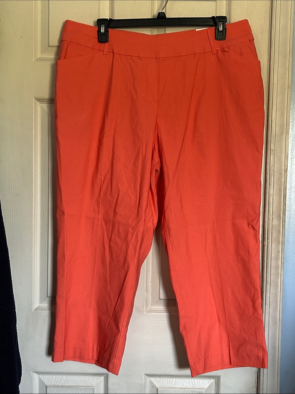 NWT Ashley Stewart pull on coral Capri pant size 22